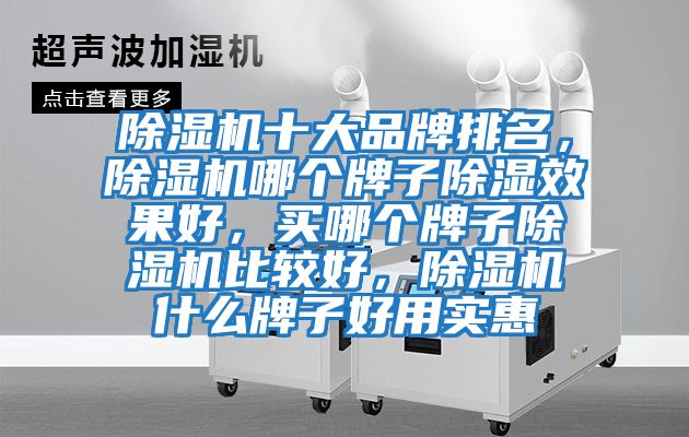 除濕機(jī)十大品牌排名,除濕機(jī)哪個(gè)牌子除濕效果好,買哪個(gè)牌子除濕機(jī)比較好,除濕機(jī)什么牌子好用實(shí)惠