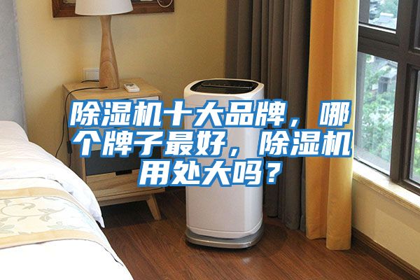 除濕機(jī)十大品牌,哪個(gè)牌子最好,除濕機(jī)用處大嗎?