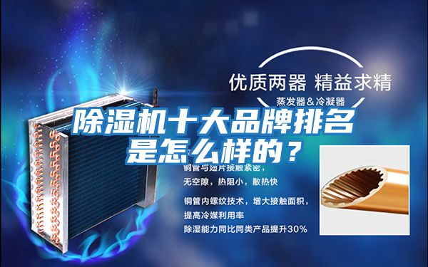 除濕機(jī)十大品牌排名是怎么樣的?