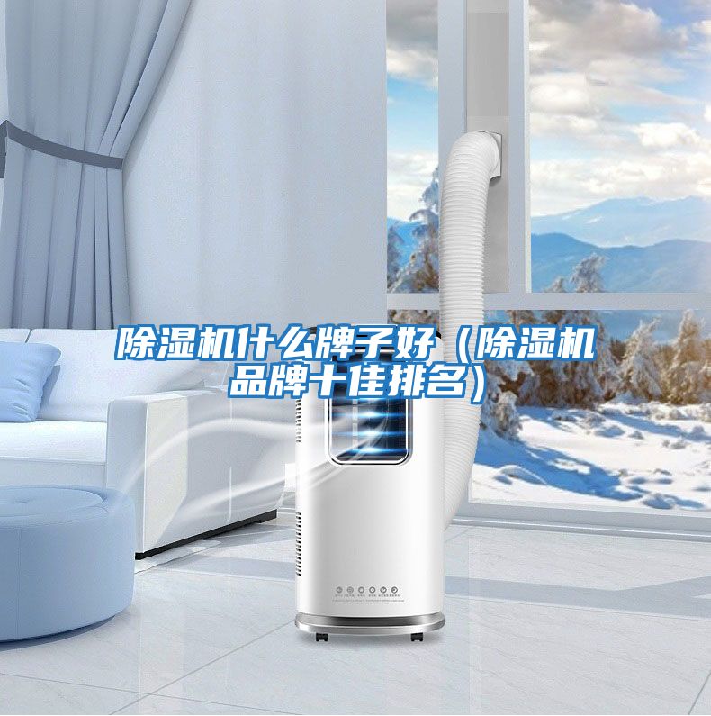 除濕機什么牌子好（除濕機品牌十佳排名）
