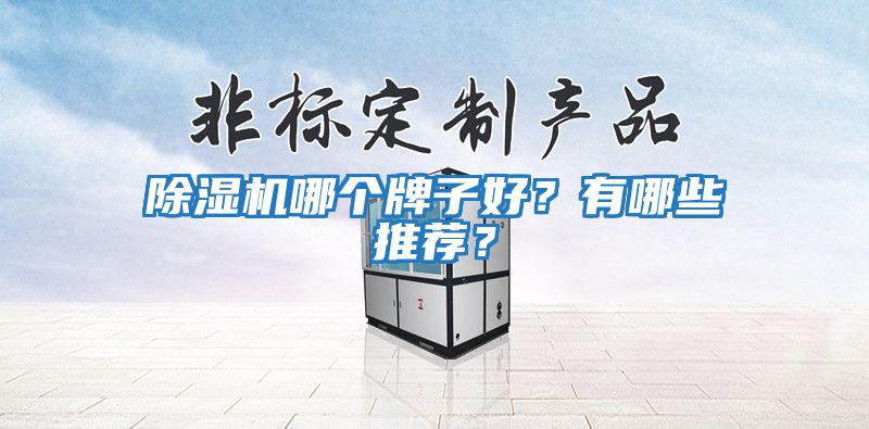 除濕機哪個牌子好？有哪些推薦？