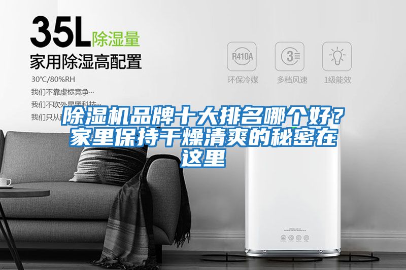 除濕機(jī)品牌十大排名哪個(gè)好？家里保持干燥清爽的秘密在這里