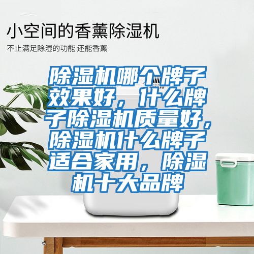 除濕機哪個牌子效果好，什么牌子除濕機質量好，除濕機什么牌子適合家用，除濕機十大品牌
