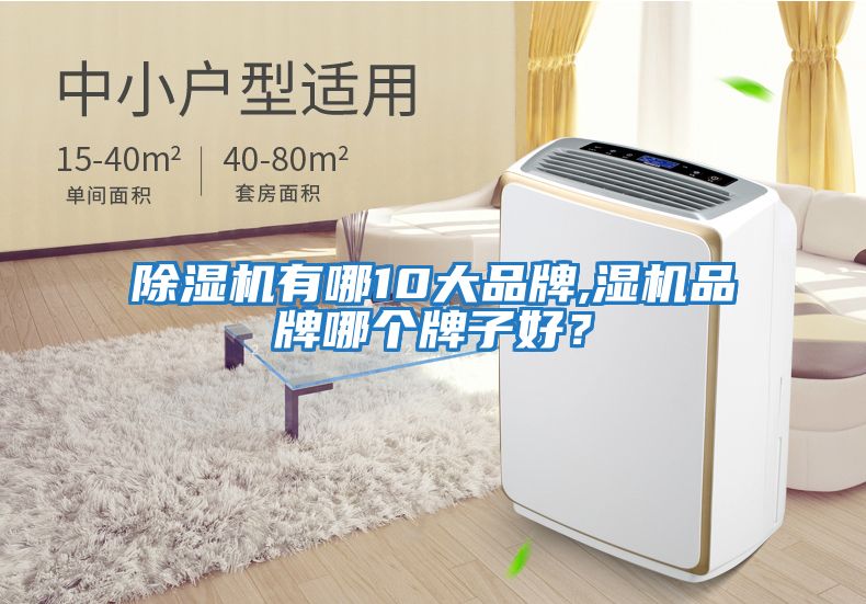 除濕機(jī)有哪10大品牌,濕機(jī)品牌哪個(gè)牌子好?