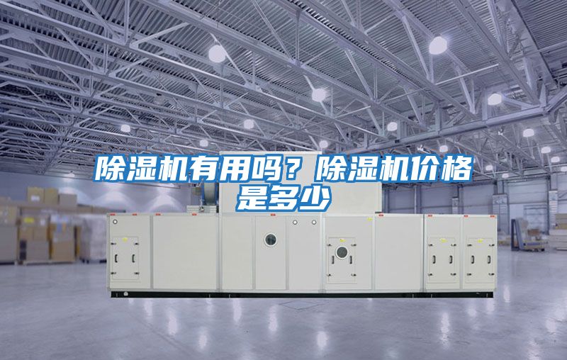 除濕機有用嗎？除濕機價格是多少
