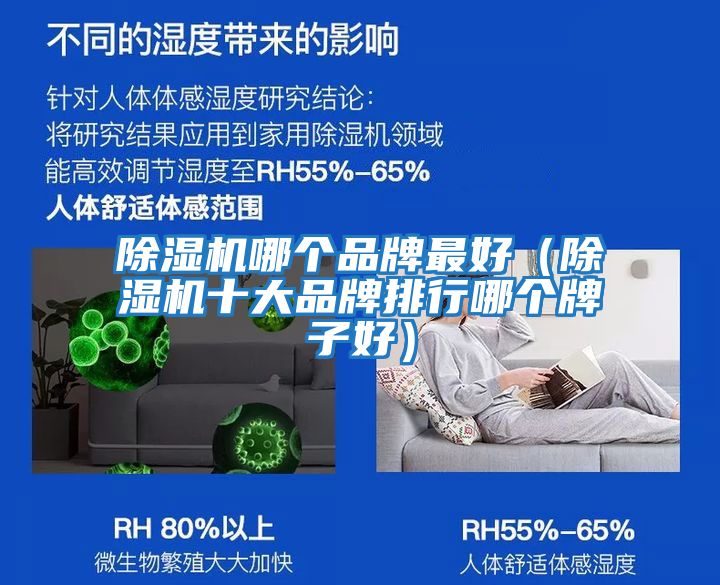 除濕機(jī)哪個(gè)品牌最好(除濕機(jī)十大品牌排行哪個(gè)牌子好)