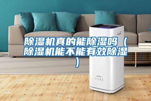 除濕機真的能除濕嗎（除濕機能不能有效除濕）