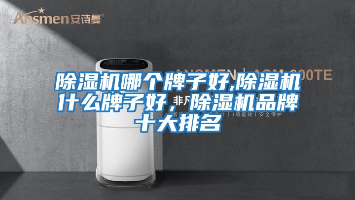 除濕機哪個牌子好,除濕機什么牌子好,除濕機品牌十大排名