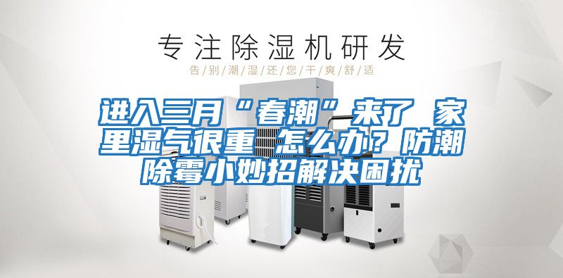 進入三月“春潮”來了 家里濕氣很重 怎么辦？防潮除霉小妙招解決困擾