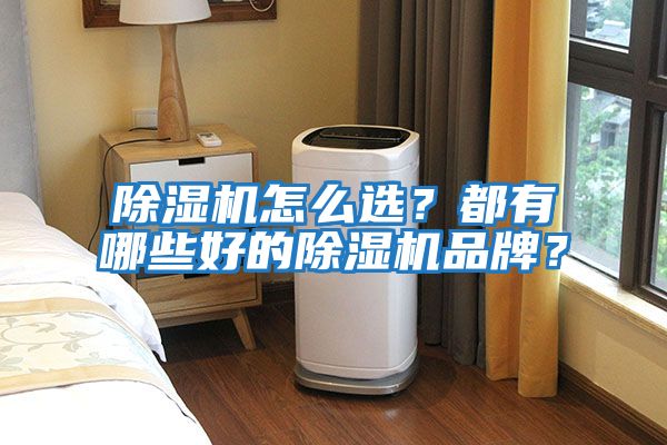 除濕機怎么選？都有哪些好的除濕機品牌？