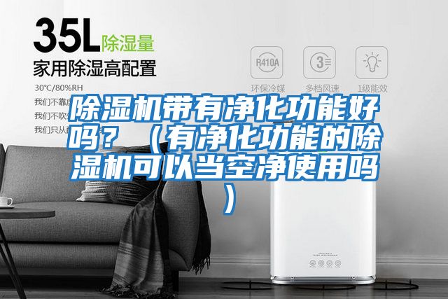 除濕機帶有凈化功能好嗎?(有凈化功能的除濕機可以當空凈使用嗎)