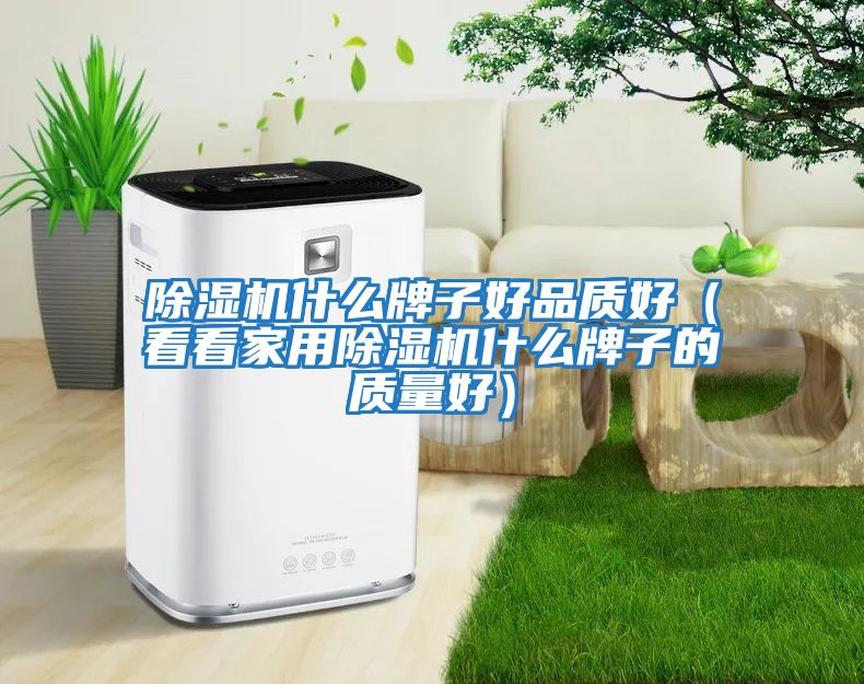 除濕機什么牌子好品質好(看看家用除濕機什么牌子的質量好)