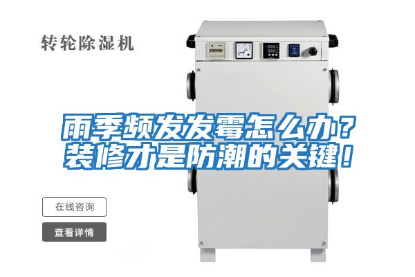 雨季頻發發霉怎么辦?裝修才是防潮的關鍵!