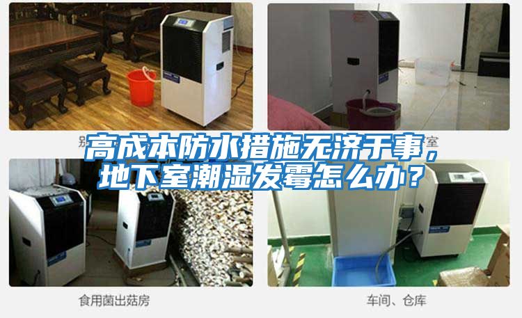 高成本防水措施無(wú)濟(jì)于事，地下室潮濕發(fā)霉怎么辦？