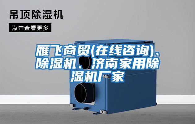 雁飛商貿(在線咨詢)、除濕機、濟南家用除濕機廠家