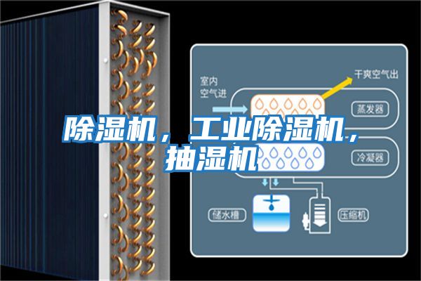 除濕機，工業除濕機，抽濕機