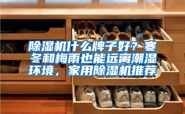 除濕機什么牌子好?寒冬和梅雨也能遠離潮濕環(huán)境,家用除濕機推薦