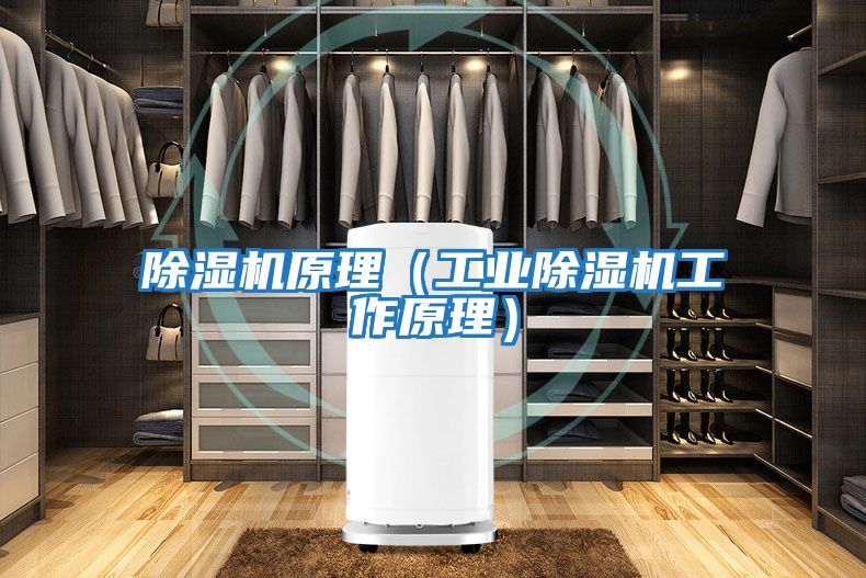 除濕機原理(工業(yè)除濕機工作原理)