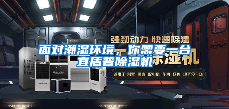 面對(duì)潮濕環(huán)境，你需要一臺(tái)宜盾普除濕機(jī)