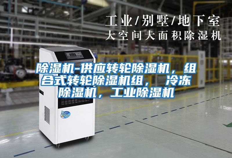 除濕機(jī)-供應(yīng)轉(zhuǎn)輪除濕機(jī)，組合式轉(zhuǎn)輪除濕機(jī)組， 冷凍除濕機(jī)，工業(yè)除濕機(jī)