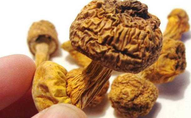 巴西菇、姬松茸烘干機(jī)-怎樣烘干色澤好且菇體褶片完整?