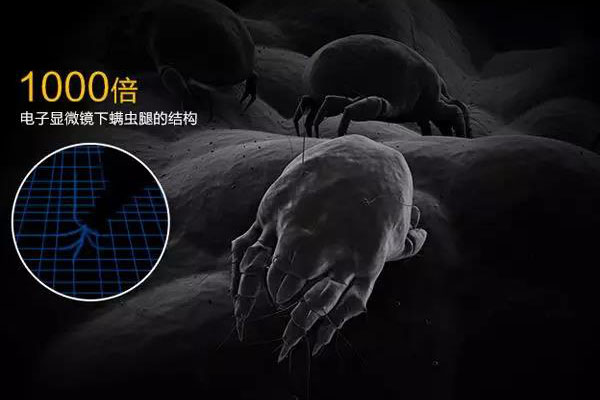 螨蟲高發季，家用除濕機除螨有妙計！