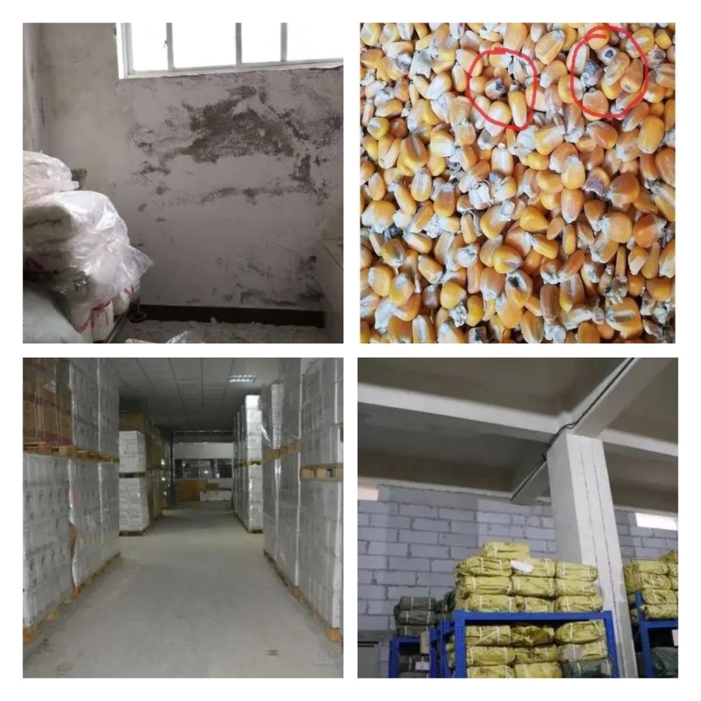 稿定設(shè)計(jì)導(dǎo)出-20211214-141923